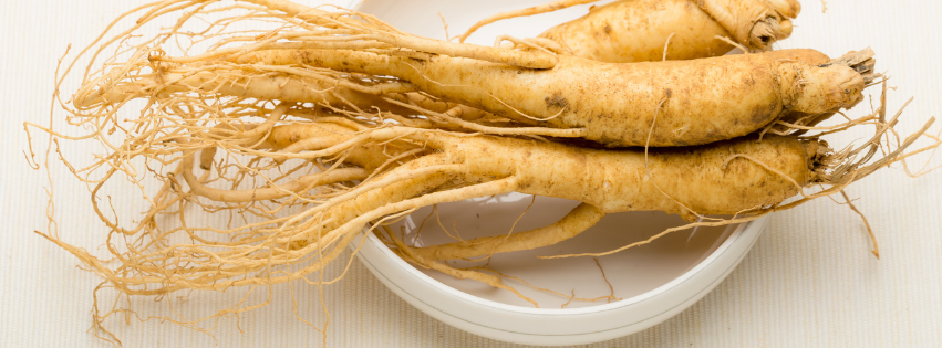 Ginseng: La Radice dell’Energia e del Benessere