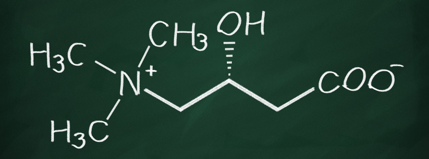 Acetil Carnitina: energia per il corpo, carburante per la mente