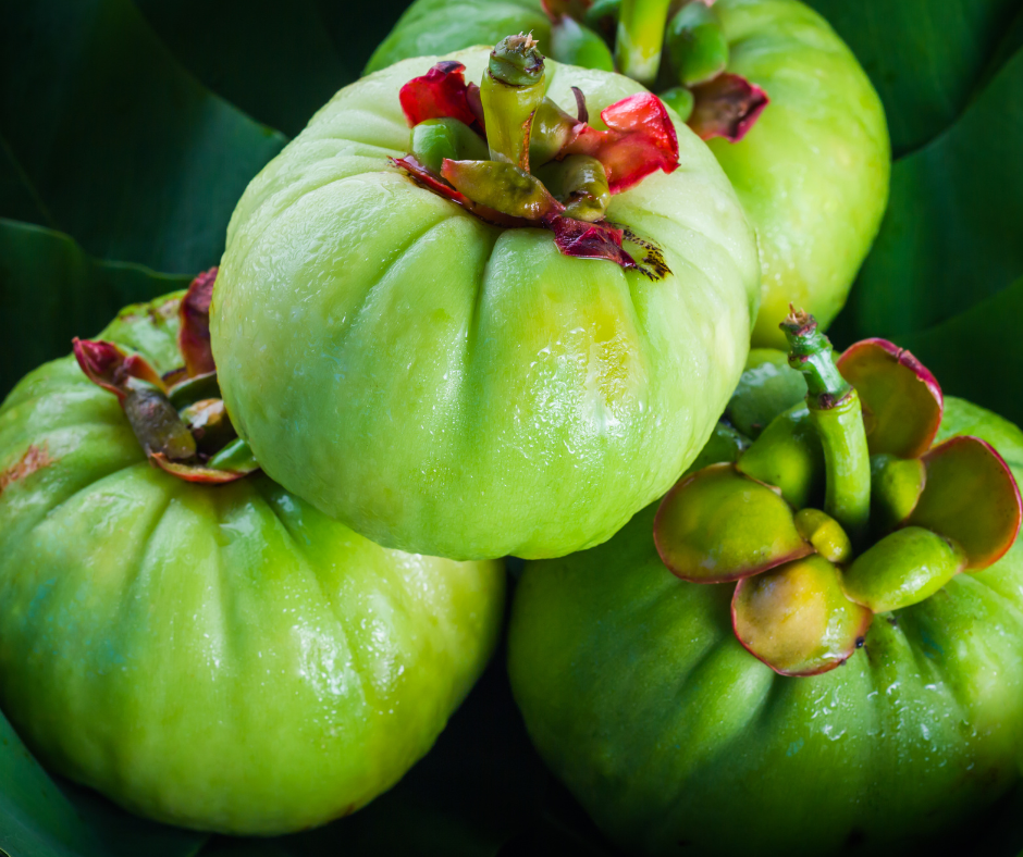 Garcinia Cambogia pura, con caffè verde o chitosano? Benefici, proprietà e dove acquistarla.