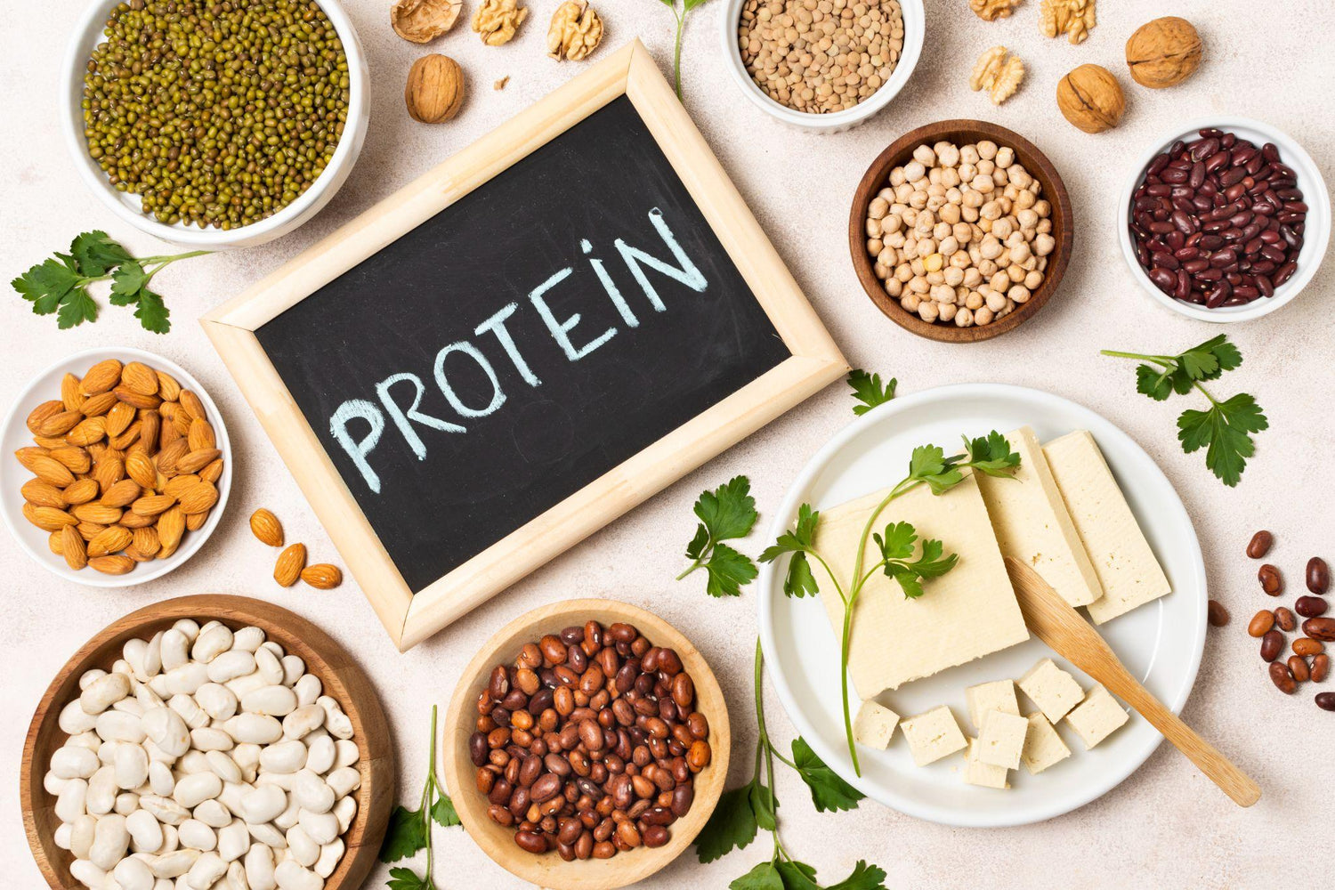 Cos’è il Metabolismo Proteico e perché è importante?