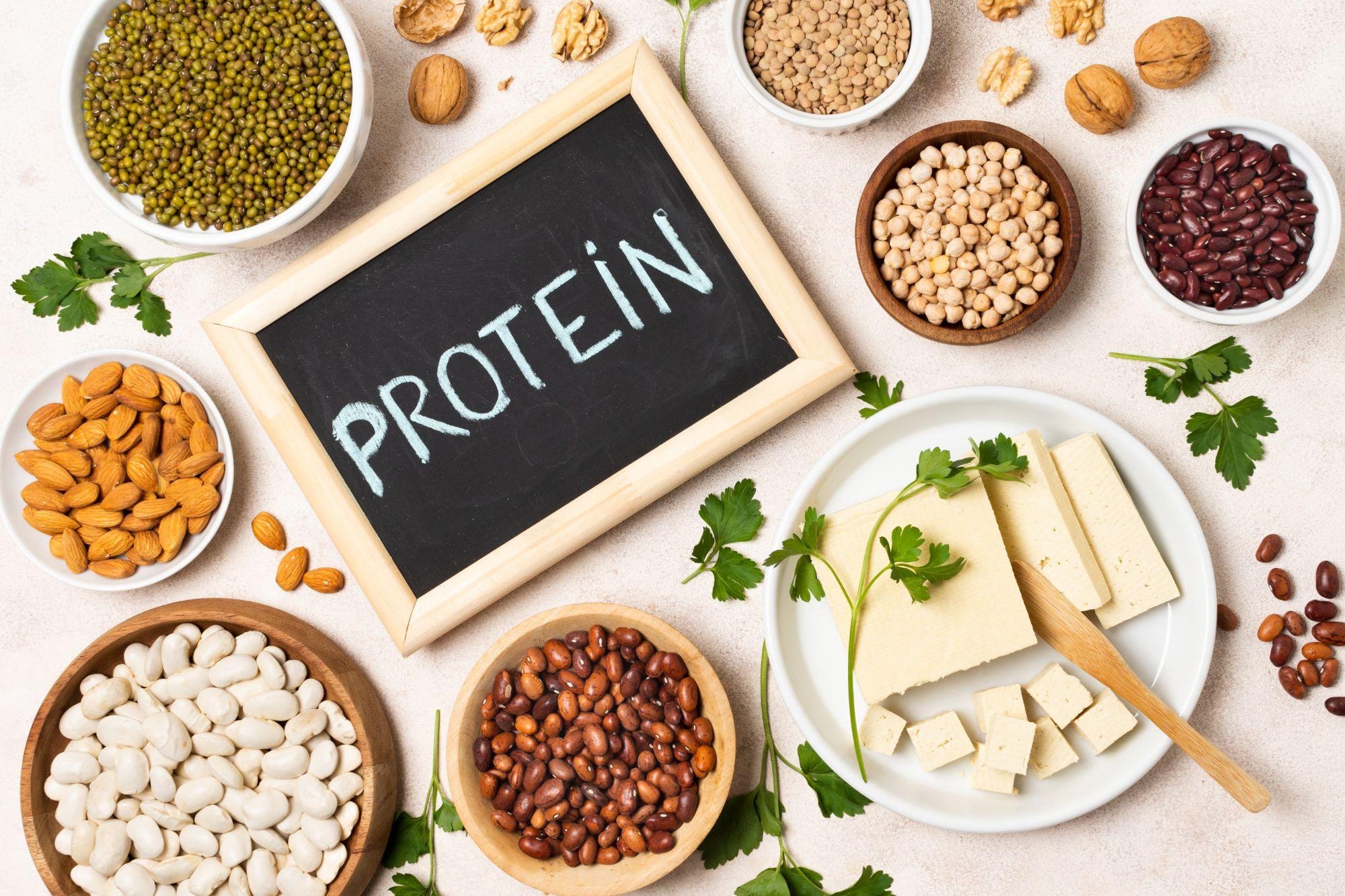 Cos’è il Metabolismo Proteico e perché è importante?